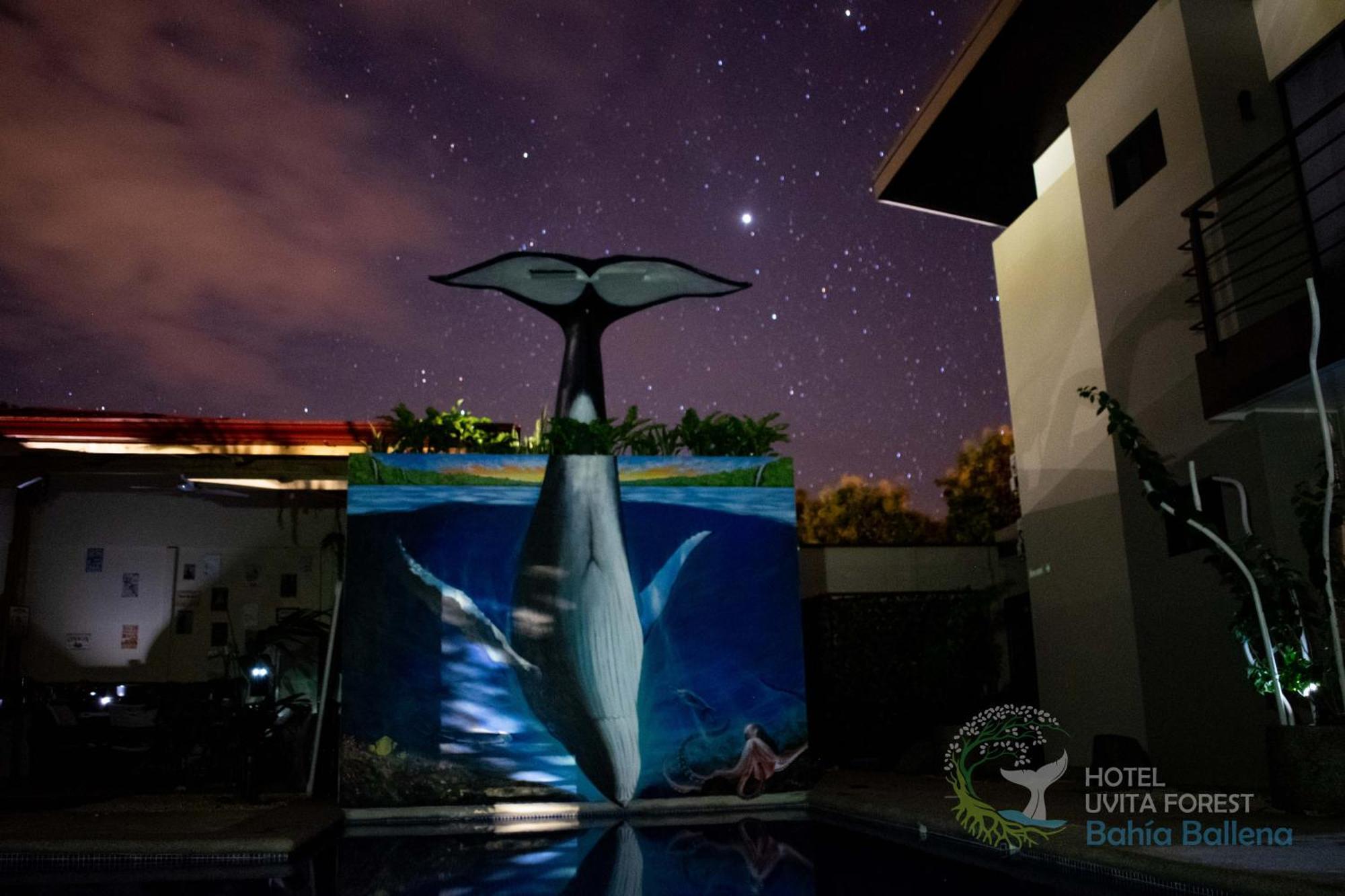 Hotel Uvita Forest Extérieur photo