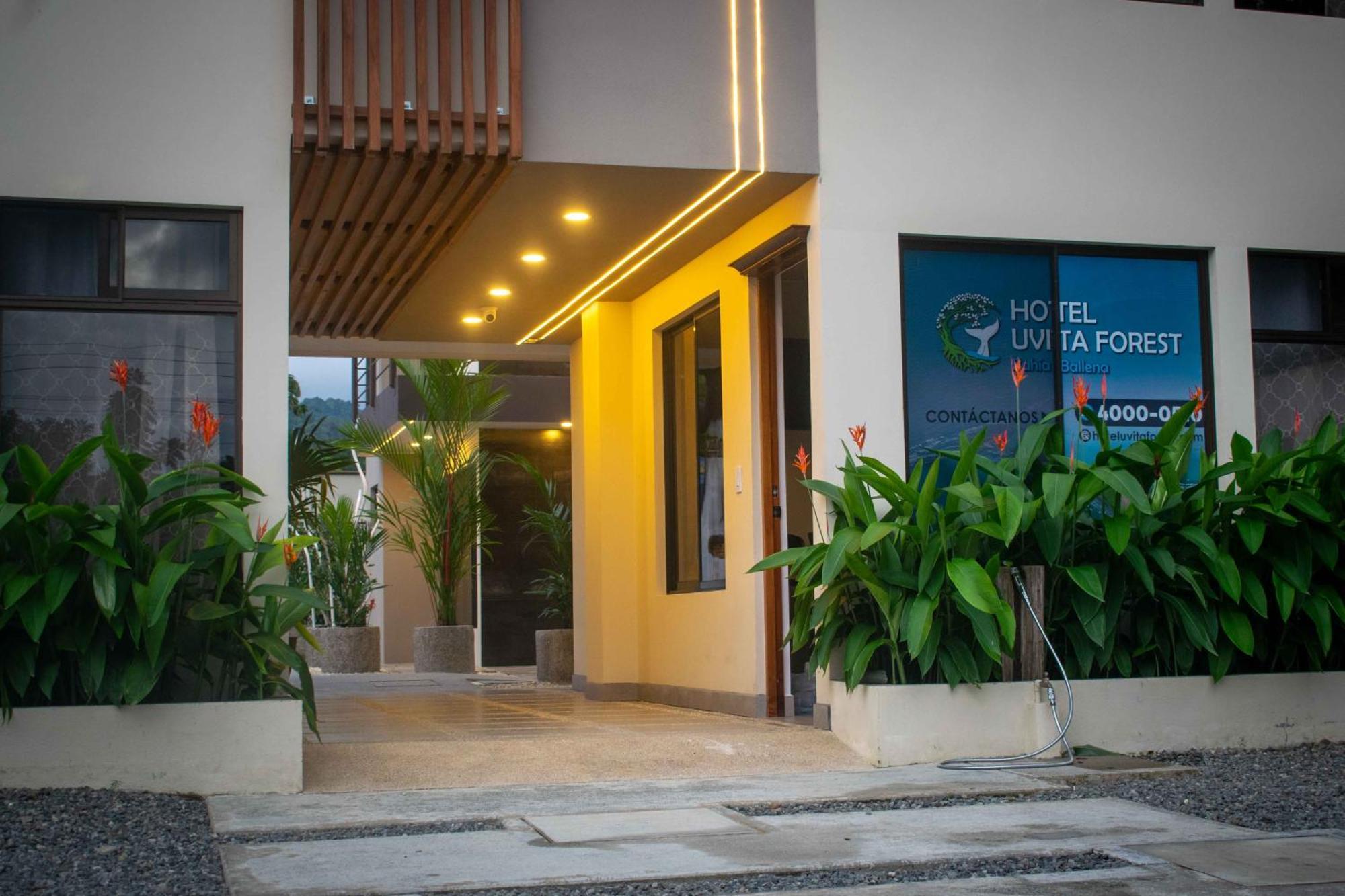 Hotel Uvita Forest Extérieur photo